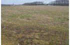 Property photo 29 - 98+/- Acres Offered in 6 Tracts or Combinations, Noble County, Indiana Farm